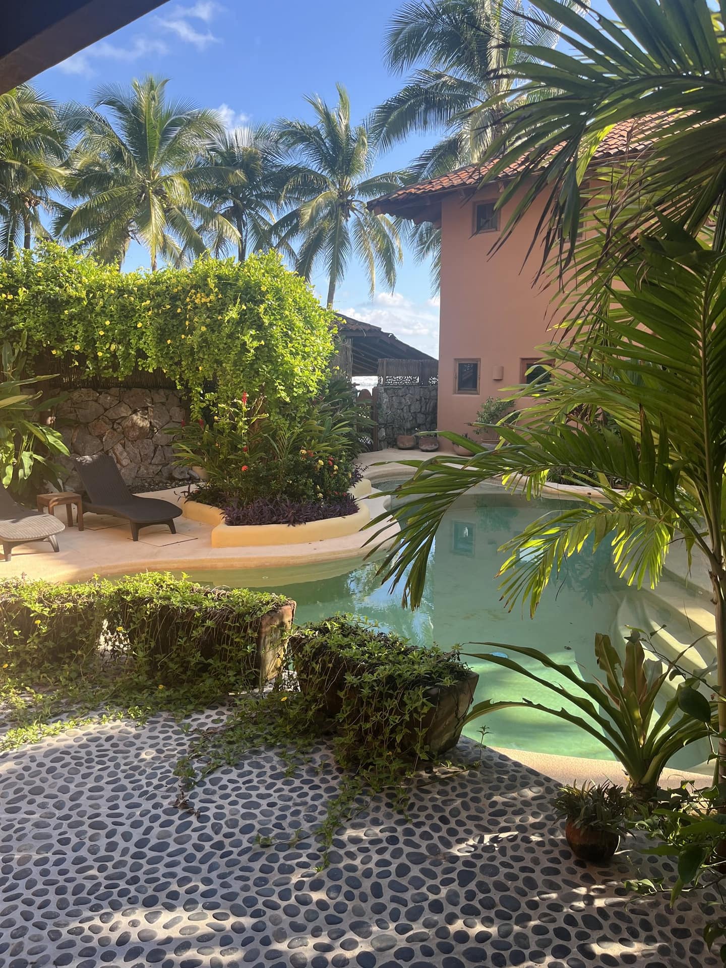 Casa Oasis garden pool framed by palms
