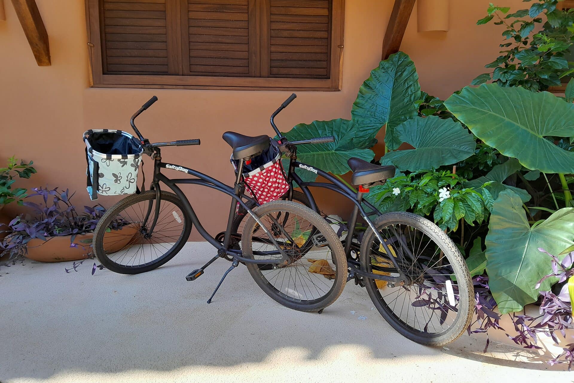 Beach Cruiser Bikes
