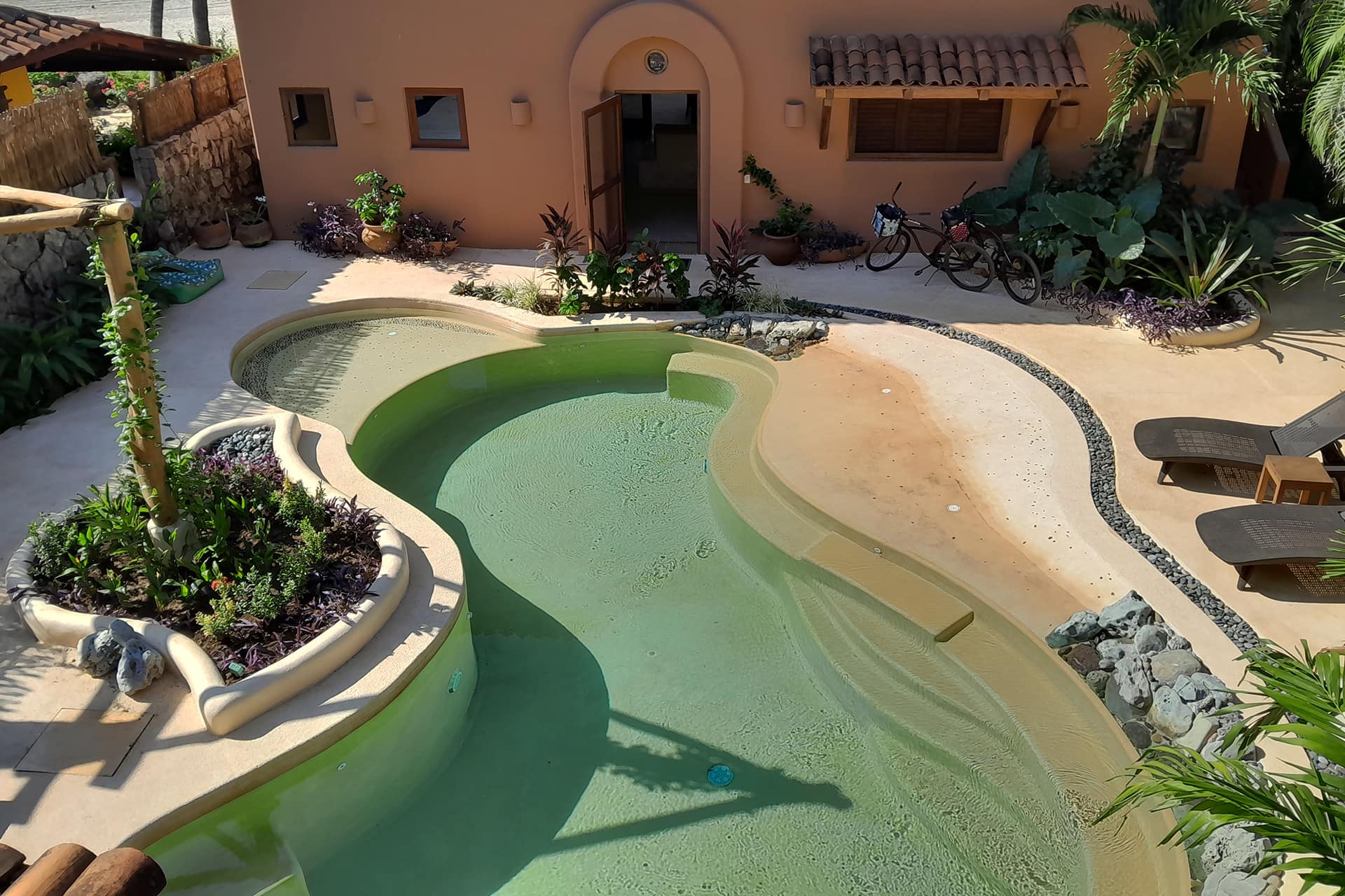 Tropical Gardens